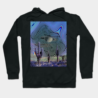 Tilcara Hoodie